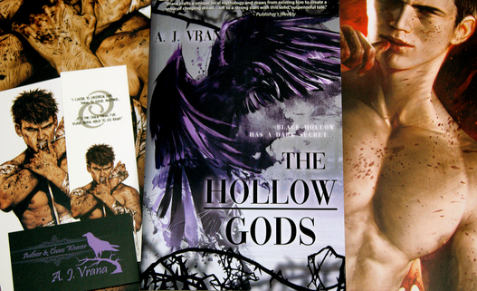 The Hollow Gods (The Chaos Cycle Duology) by A.J. Vrana