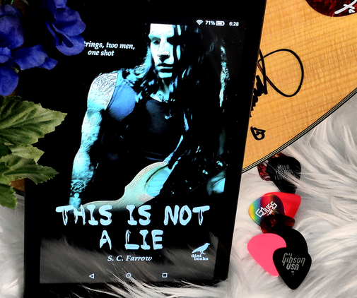 This is Not a Lie by S.C. Farrow