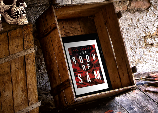 The Book of Sam by Rob Shapiro