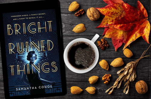 Bright Ruined Things by Samantha Cohoe