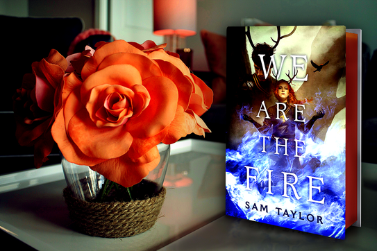 We Are the Fire by Sam Taylor